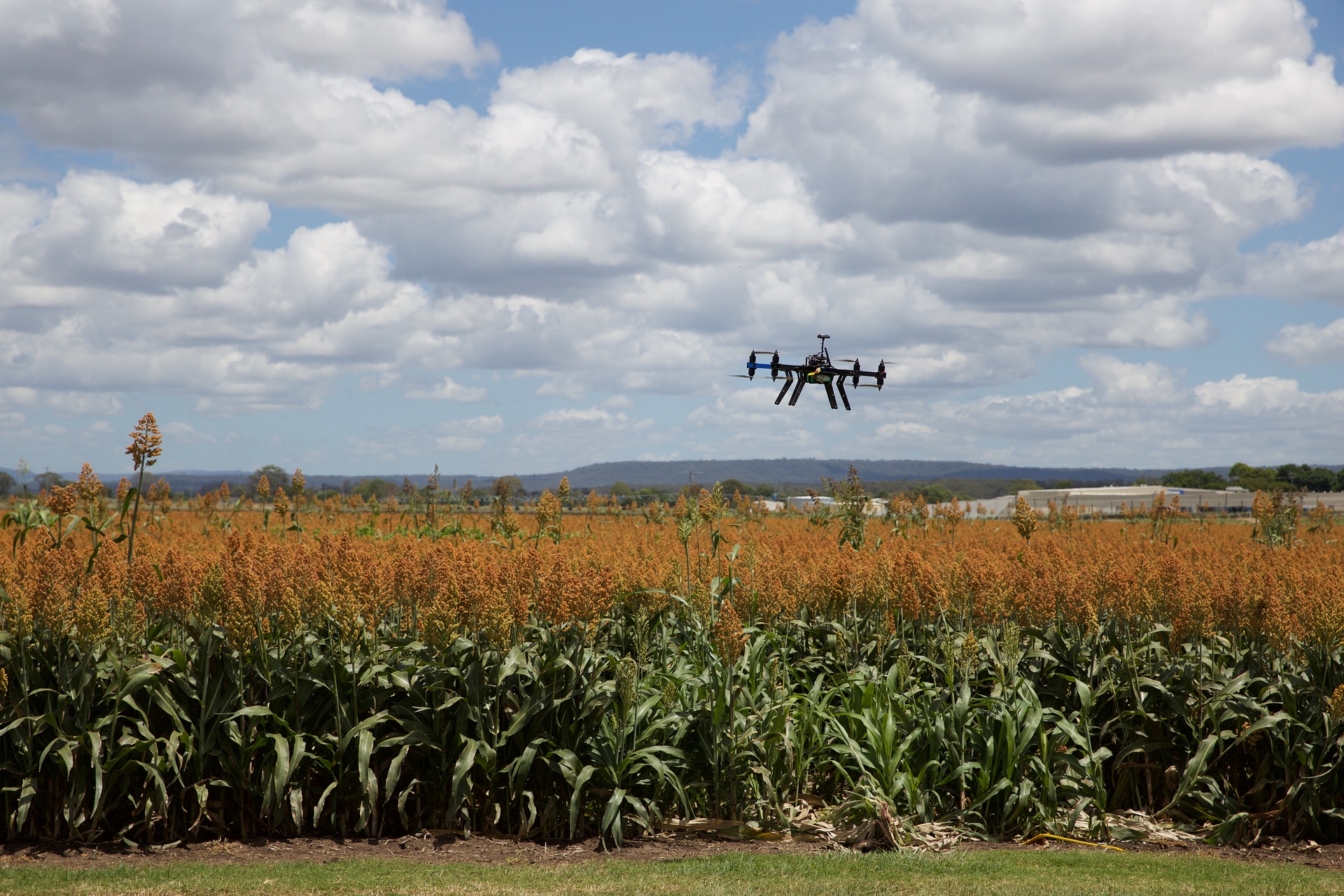 https://media.horasis.org/wp-content/uploads/2021/05/agriculture-3182252_1920.jpg