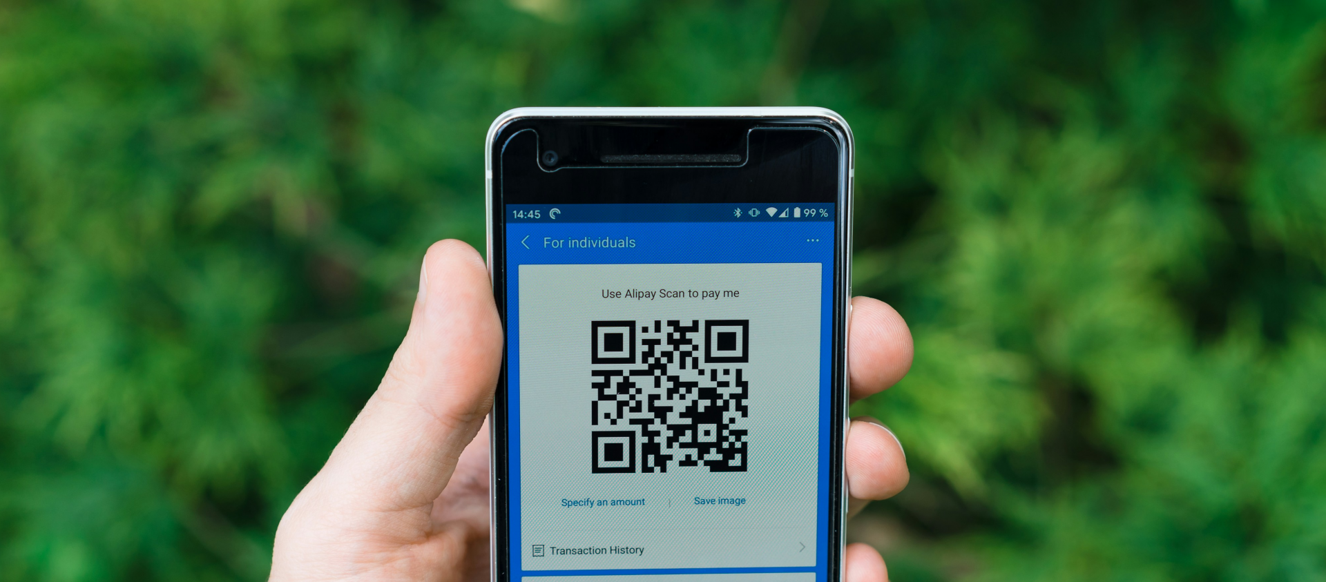 https://media.horasis.org/wp-content/uploads/2024/04/Alipay.png